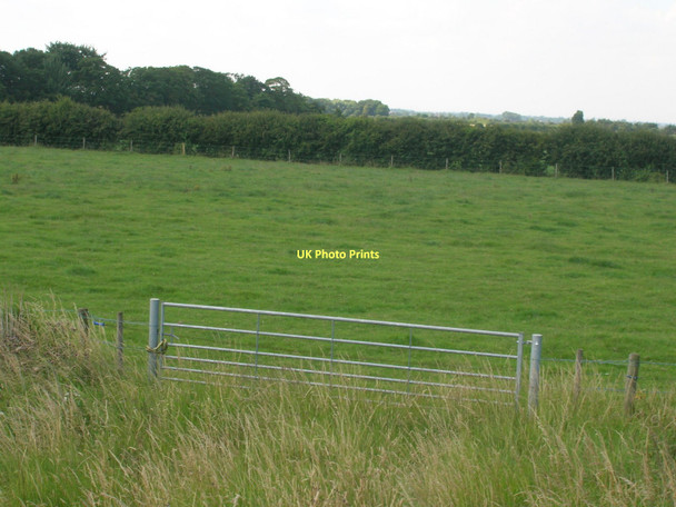 Photo 6"x4" Farmland, East Marsh North End\/TA1022 c2011
