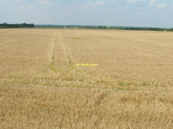 Photo 6"x4" Farmland near the Humber Paull c2011