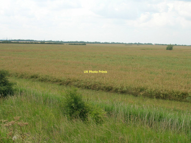 Photo 6"x4" Farmland, Halton Marshes East Halton c2011