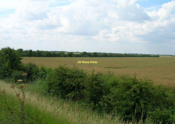 Photo 6"x4" Farmland, Halton Marshes East Halton c2011 P1