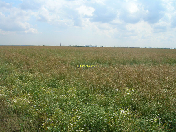 Photo 6"x4" Farmland off Skitter Road East Halton c2011