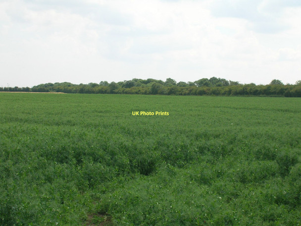 Photo 6"x4" Farmland near East Halton East Halton c2011