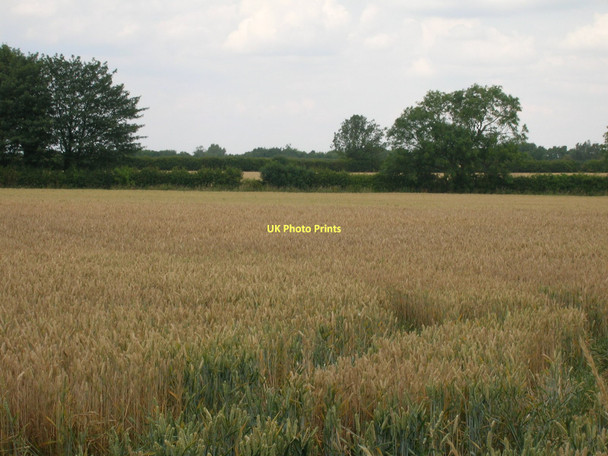 Photo 6"x4" Farmland off Soft Lane Goxhill\/TA1021 c2011