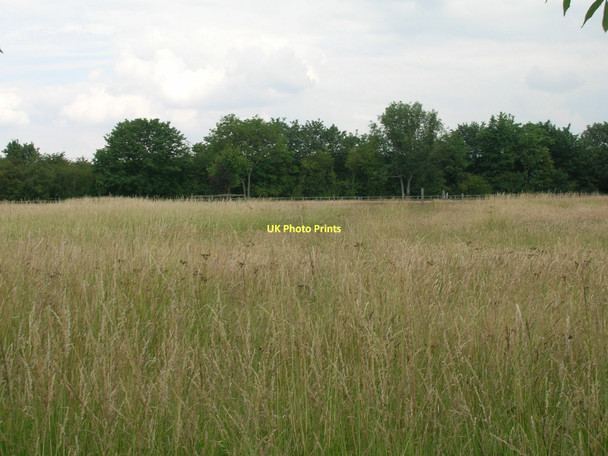 Photo 6"x4" Farmland, South End South End\/TA1120 c2011