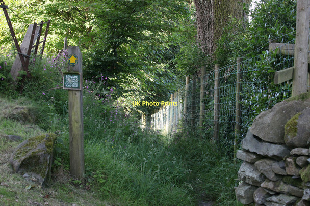 Photo 6"x4" Footpath leading down to the A591 Ambleside c2011