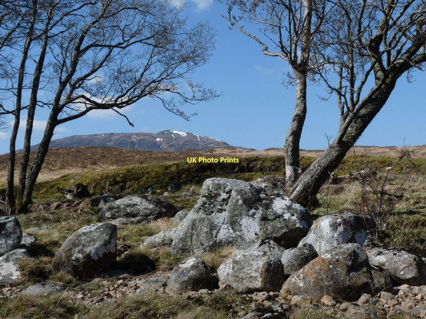 Photo 6"x4" Boulders and Alder by Loch Tulla Allt Bhreacnais c2009
