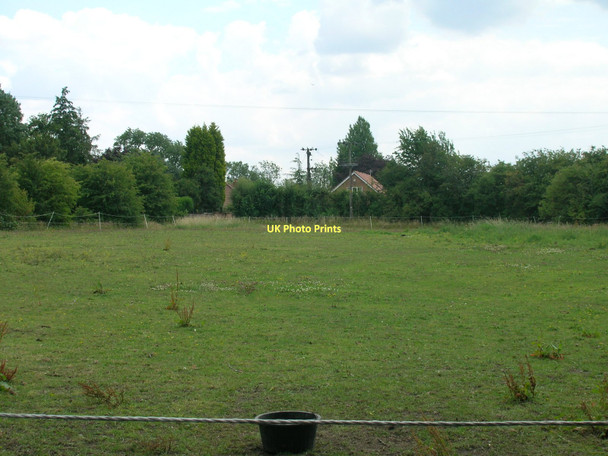 Photo 6"x4" Grazing land off Manor Lane Goxhill\/TA1021 c2011