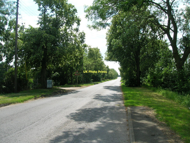 Photo 6"x4" Thornton Road heading south The Hallands c2011