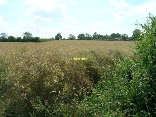 Photo 6"x4" Farmland, Barrow-upon-Humber Barrow upon Humber c2011