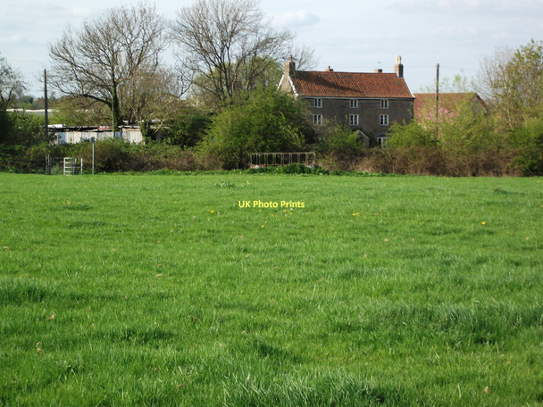 Photo 6"x4" Elm Farm Catbrain c2011