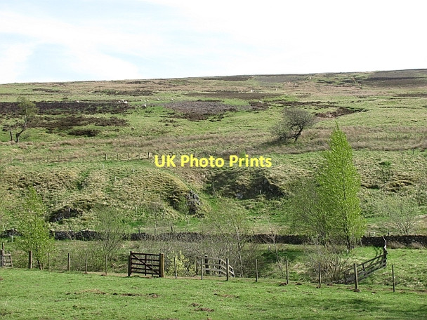 Photo 6"x4" Slopes of Dunside Hill Dunside Hill c2011