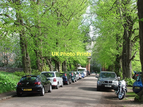Photo 6"x4" The Avenue, Gifford Gifford c2011