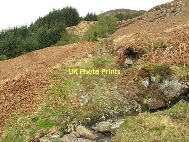 Photo 6"x4" Path up Beinn Chochan Kinlochard c2011