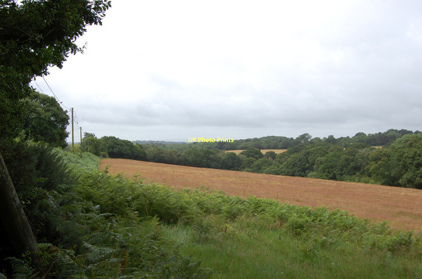 Photo 6"x4" Fields off Flitterbrook Lane Punnett's Town c2011