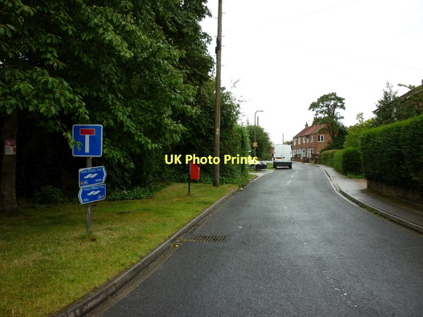 Photo 6"x4" Landing Lane, Hemingbrough Hemingbrough c2011
