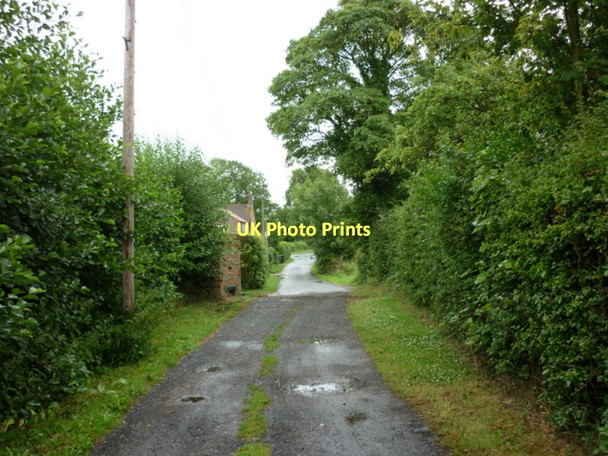 Photo 6"x4" Mill Lane, South Duffield South Duffield c2011