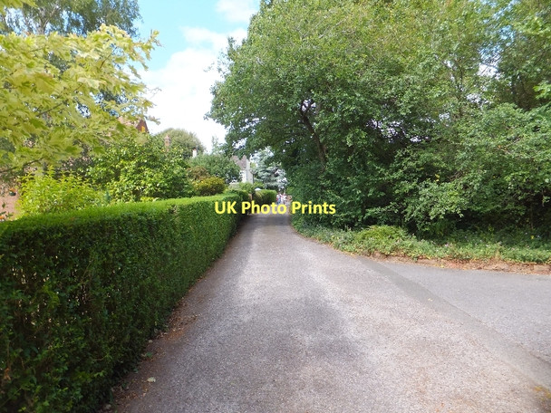 Photo 6"x4" Deepdene Park Exeter c2011