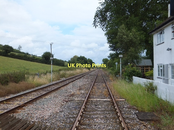 Photo 6"x4" Tarka Line at Beare Crediton c2011