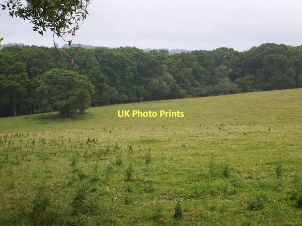 Photo 6"x4" Field beside Webber Lane (Two Moors Way) Hillerton c2011