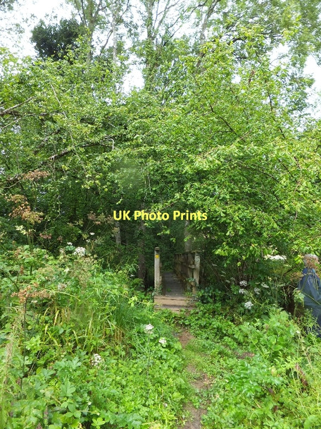 Photo 6"x4" Footbridge on Two Moors Way Colebrooke\/SS7700 c2011