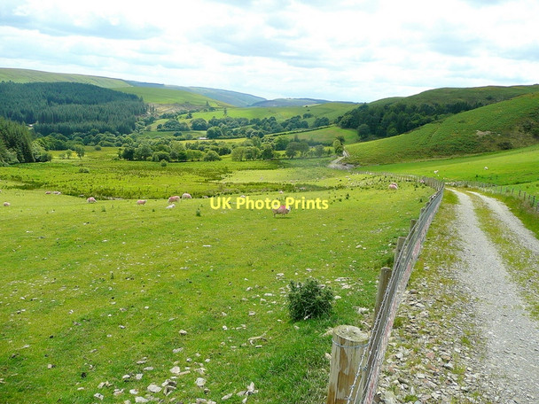 Photo 6"x4" Sheep pasture on Esgair Eithaf Abergwesyn c2011