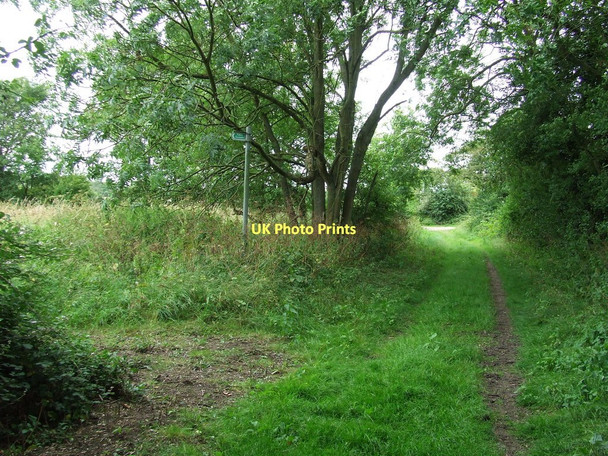 Photo 6"x4" Footpath Junction Kirtling Green c2011