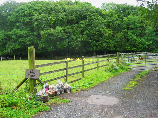 Photo 6"x4" Free muck (bags supplied) Dodford\/SO9373 c2011