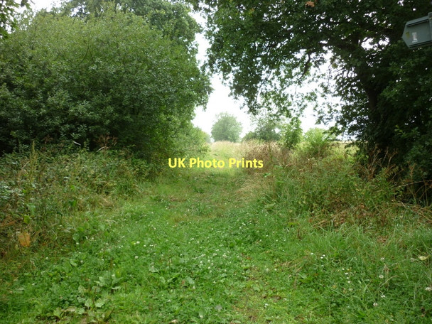 Photo 6"x4" Crabland Lane, off Moor Lane Barlby c2011