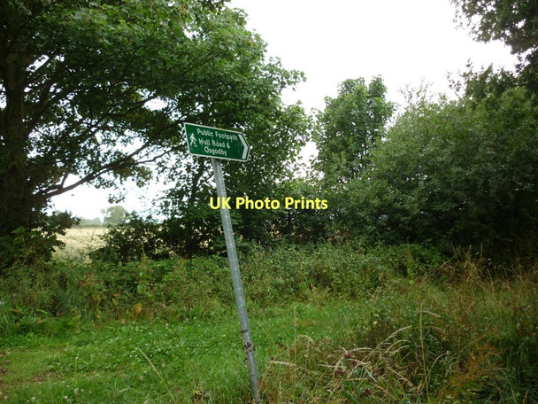 Photo 6"x4" Crabland Lane, off Moor Lane Barlby c2011 P1