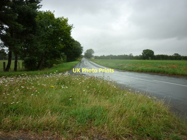 Photo 6"x4" Broad Lane towards Cawood Biggin\/SE5434 c2011