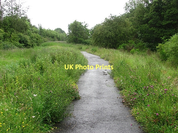 Photo 6"x4" Riverside flower meadow Huntingtower Haugh c2011