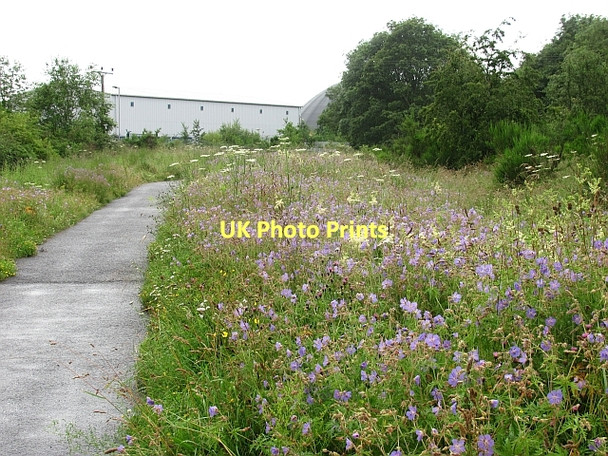 Photo 6"x4" National Cycle Network - route 77 Huntingtower Haugh c2011