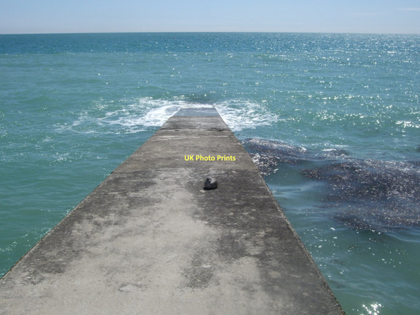 Photo 6"x4" Baby seagull on jetty at Saltdean Saltdean c2011