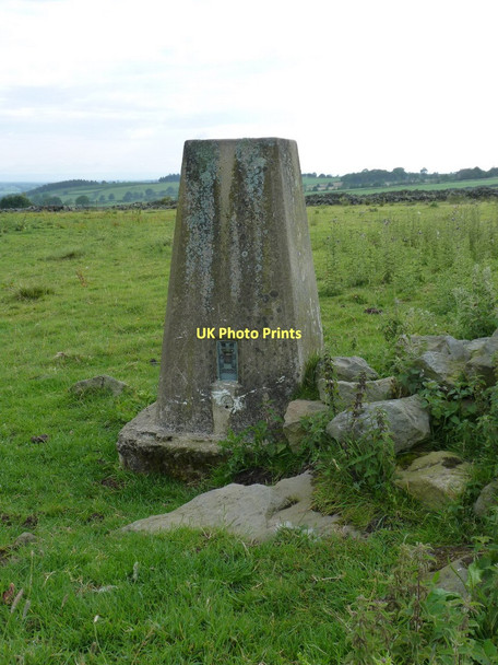 Photo 6"x4" Stone Beds trig, up close Darley\/SE2059 c2011