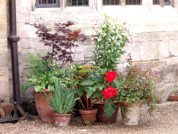 Photo 6"x4" Flower pots, Standen Charlwood\/TQ3934 c2011