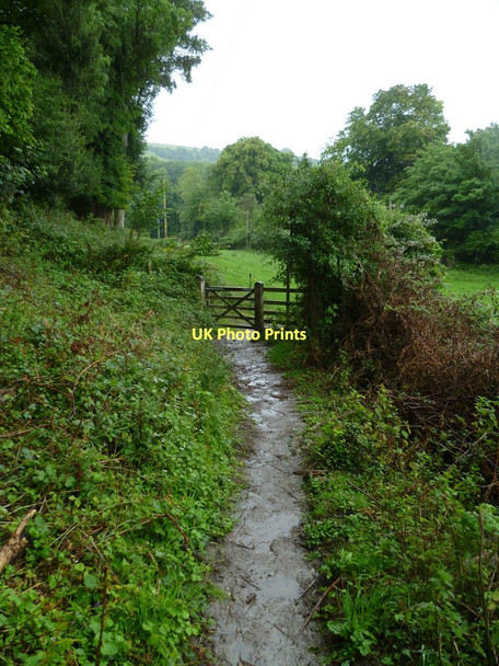 Photo 6"x4" Bridlegate near Waterfall Cottage Sullington c2011