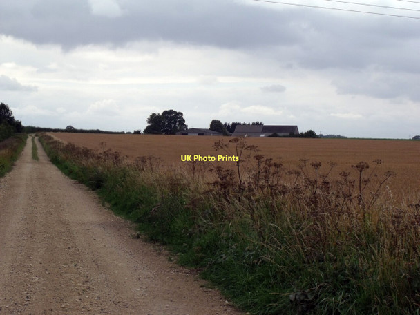 Photo 6"x4" Track to Scopwick Low field Farm Scopwick c2011