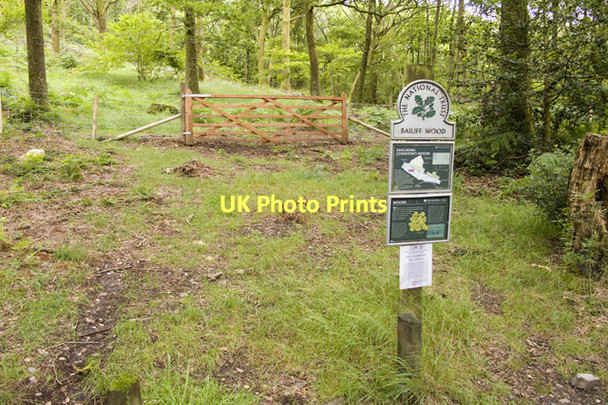 Photo 6"x4" Entrance to Bailiff Wood Scar Head c2011