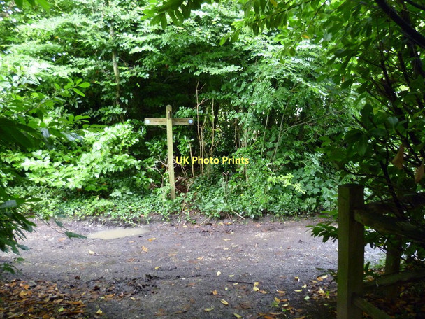 Photo 6"x4" Bridleway junction with Alternative South Downs Way near Washington Washington\/TQ1212 c2011