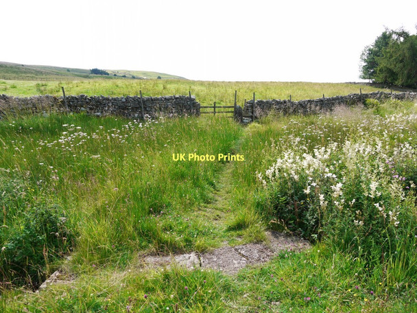 Photo 6"x4" Bridge over Eller Beck Bowbank\/NY9423 c2011