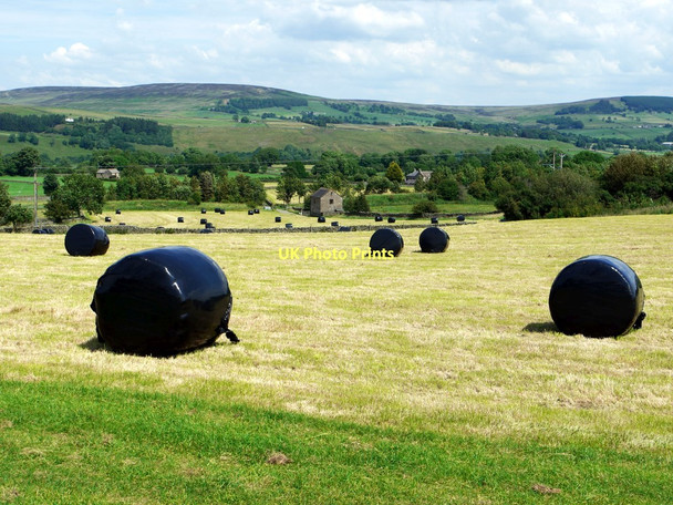 Photo 6"x4" Harvested upland hay fields near The Acres Bowbank\/NY9423 c2011