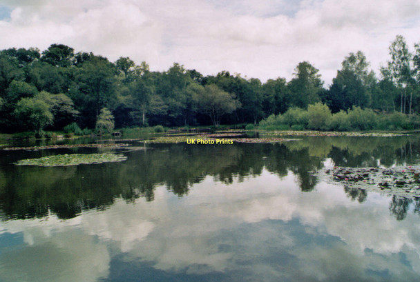 Photo 6"x4" Kingsley Lake Kingsley\/SU7838 c2011