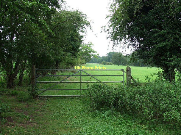 Photo 6"x4" Five Bar Gate Great Hockham c2011