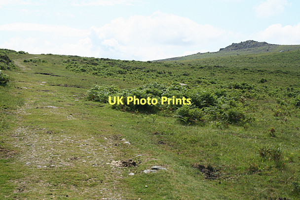 Photo 6"x4" Walkhampton: bridleway below Sharpitor Sampford Spiney c2011
