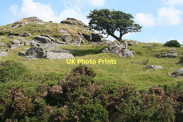 Photo 6"x4" Walkhampton: below Ingra Tor Sampford Spiney c2011