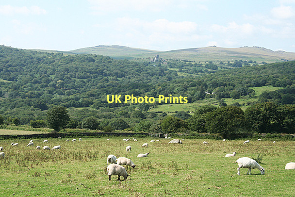 Photo 6"x4" Walkhampton: towards the wooded Walkham valley Sampford Spiney c2011