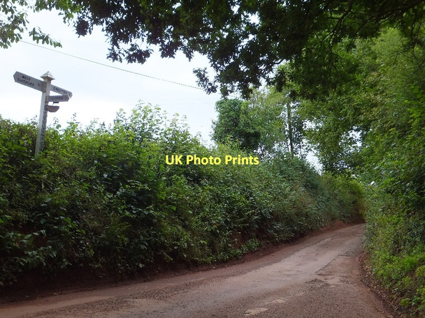 Photo 6"x4" Brandirons Corner Elston\/SS7802 c2011