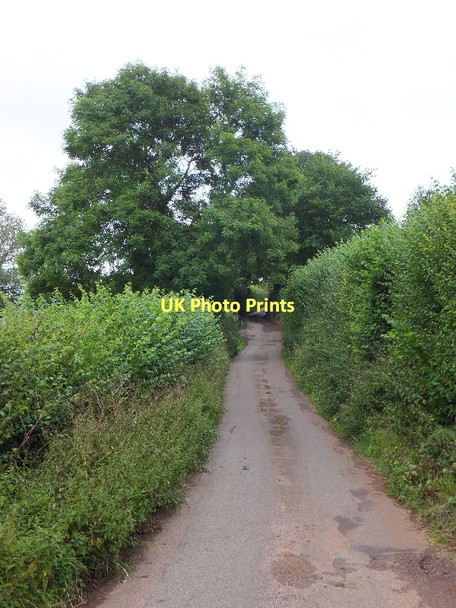 Photo 6"x4" The hill east of Middle Hollacombe Hollacombe\/SS8000 c2011