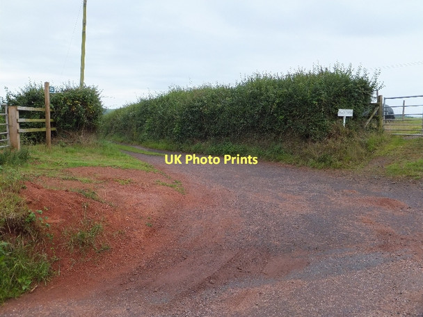 Photo 6"x4" Track to Barn Farm and Moorlake Hollacombe\/SS8000 c2011
