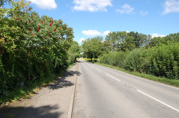 Photo 6"x4" A268 towards Sandhurst Linkhill c2011